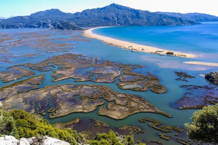Dalyan Turtle Beach Turkey